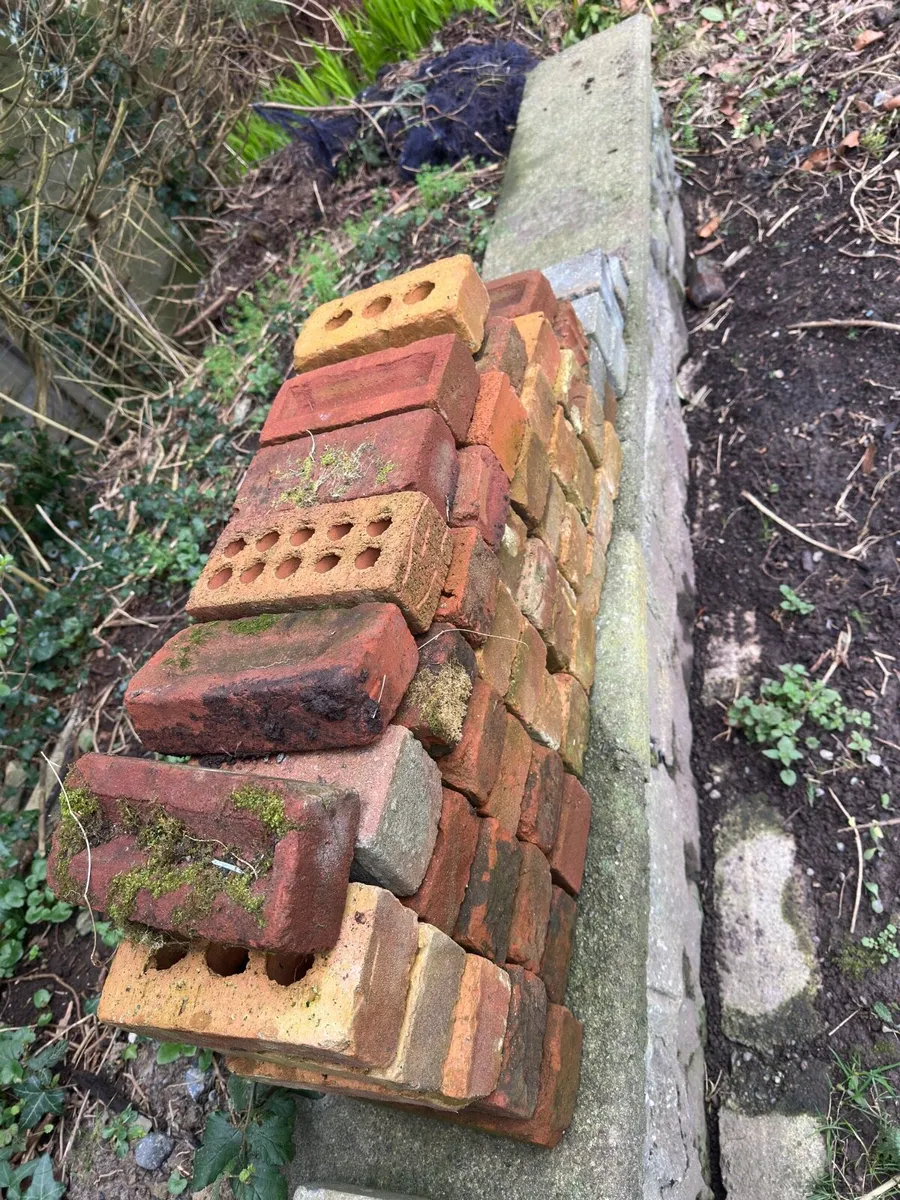 Reclaimed Bricks Salvage - Image 3