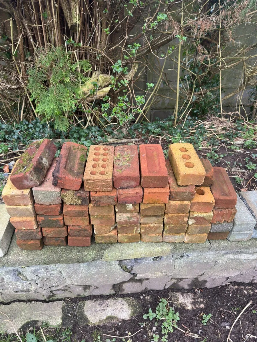 Reclaimed Bricks Salvage - Image 1