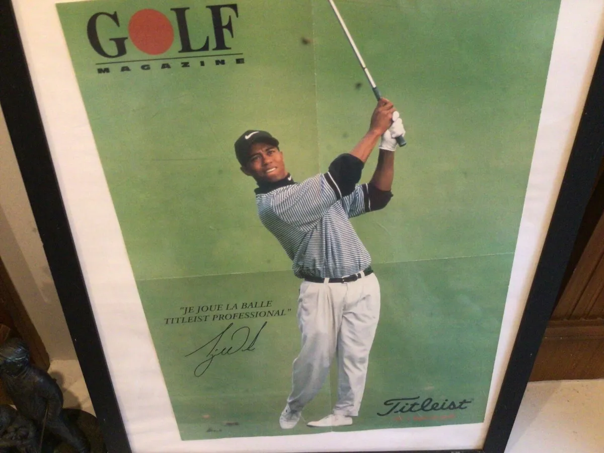 Tiger Woods - Image 2