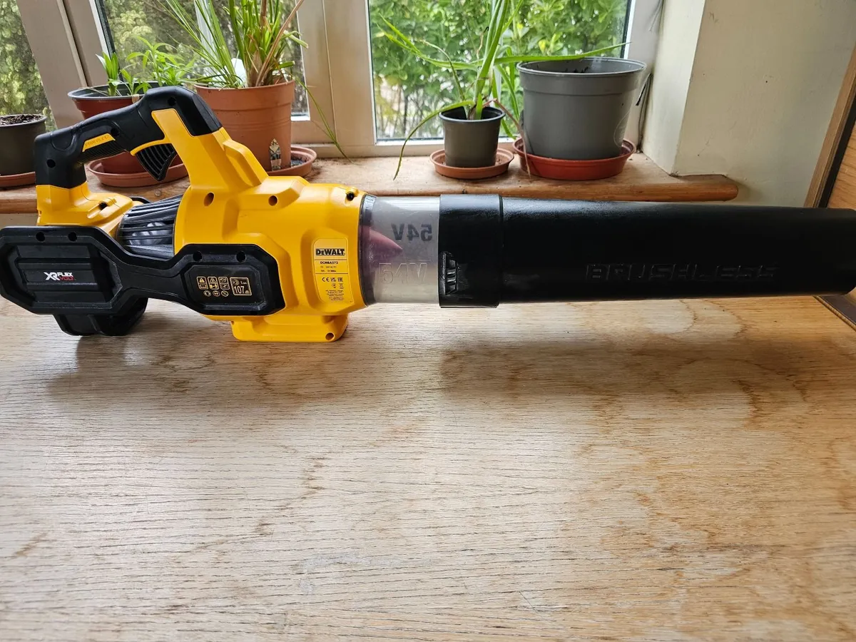 Dewalt 54v leaf blower