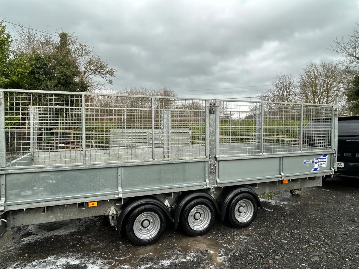 2025 Ifor Williams 16x6,6 LM166 Tri Axle - Image 2