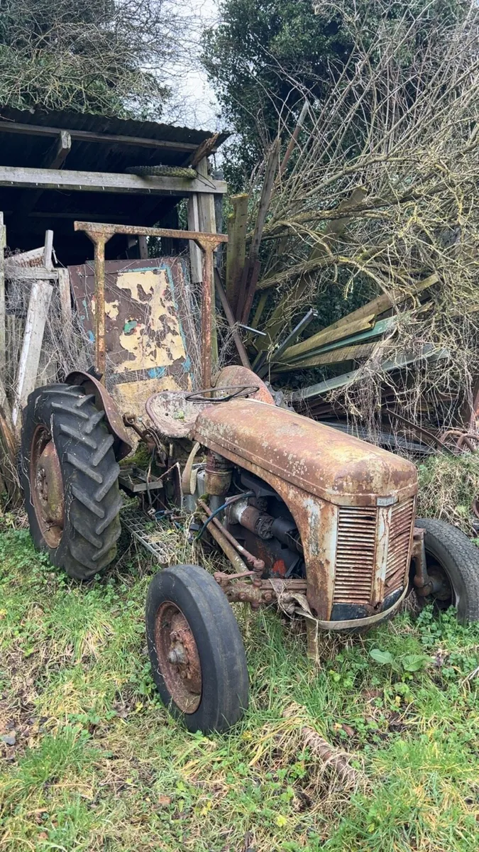 Ferguson 20 - Image 3