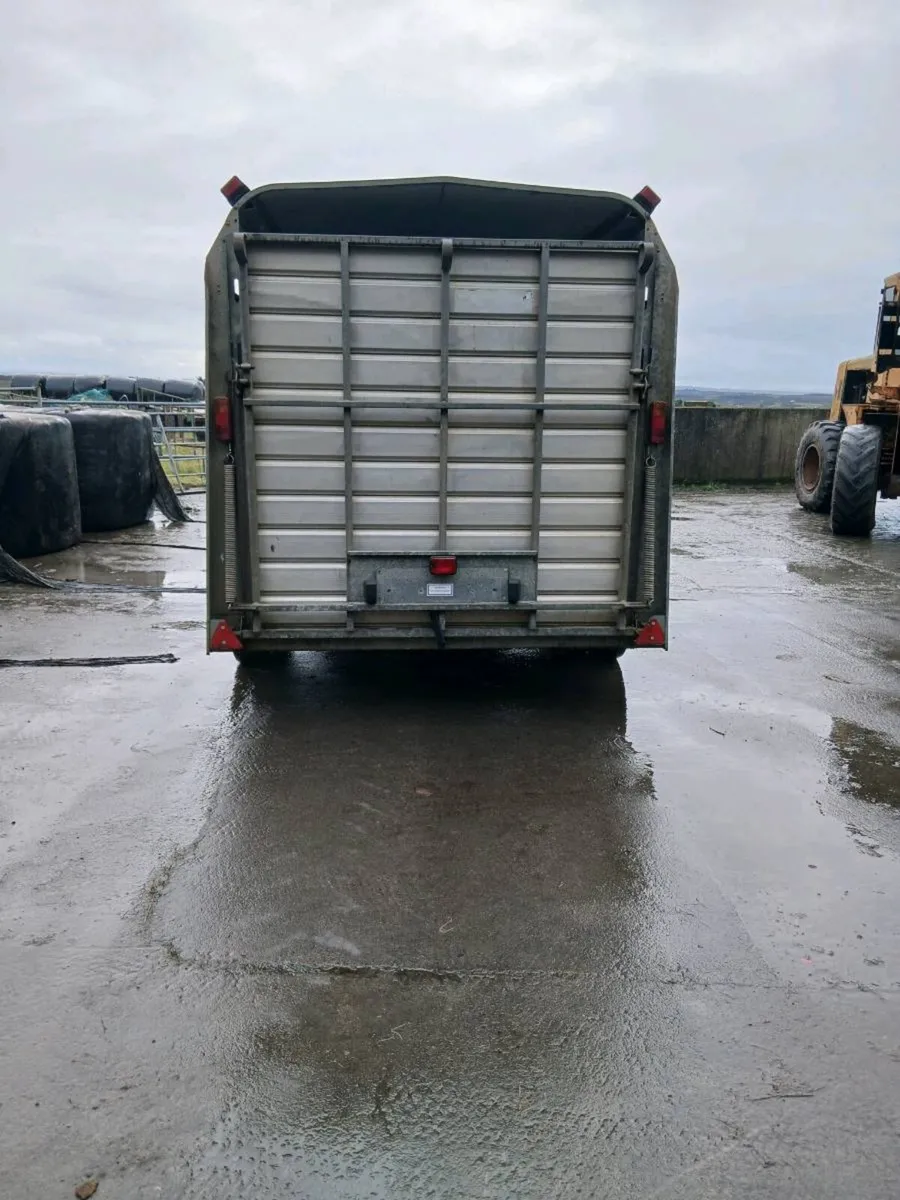 Ifor williams cattle trailer - Image 2