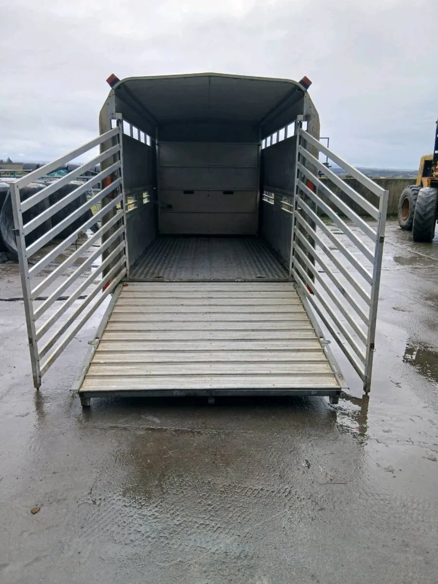 Ifor williams cattle trailer - Image 3