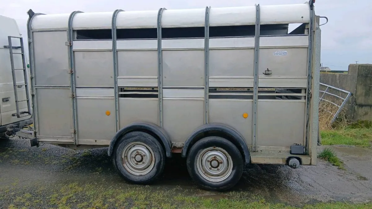 Ifor williams cattle trailer - Image 4