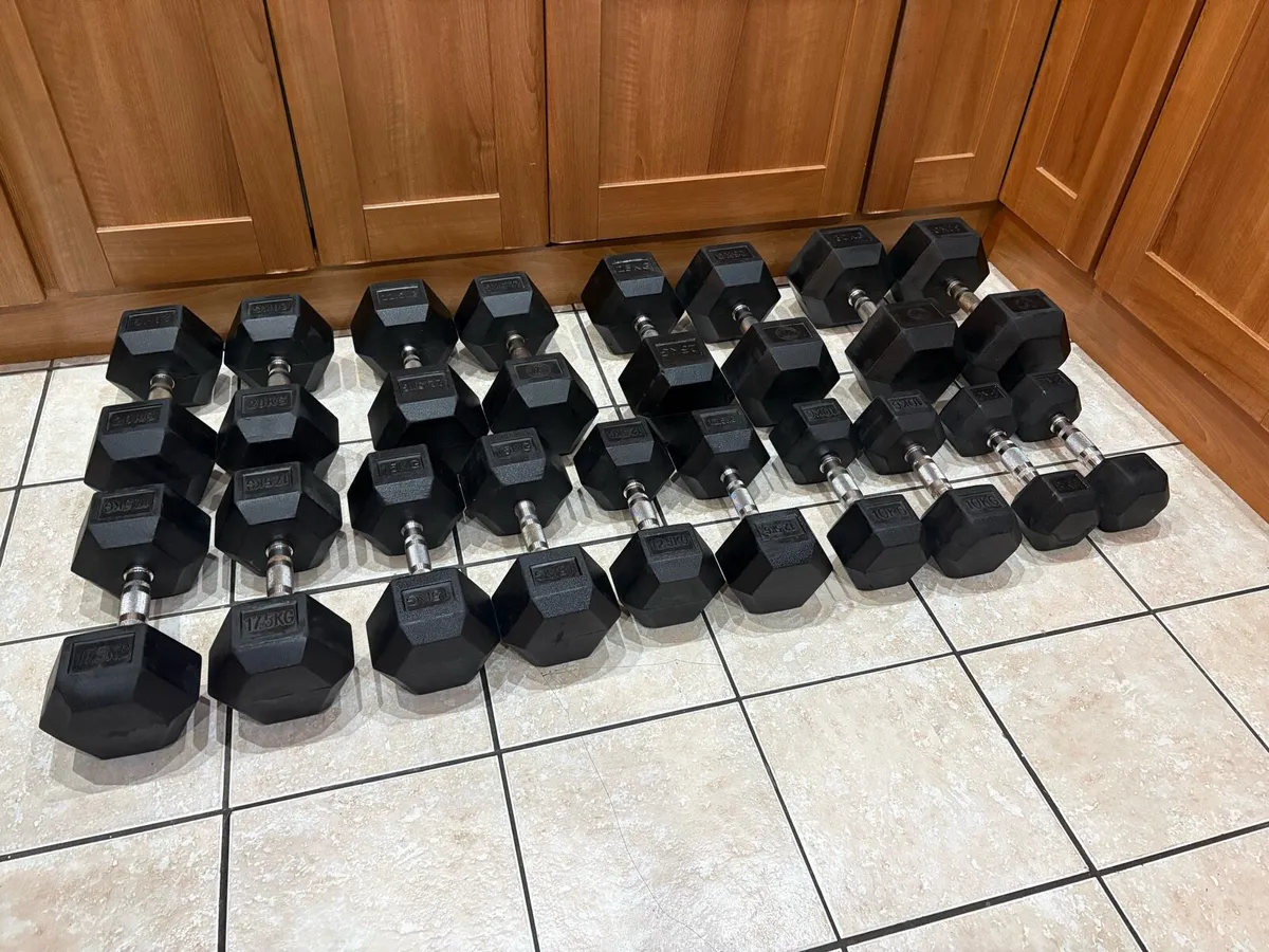 RUBBER HEX DUMBBELL COLLECTION + HEAVY STAND!!! - Image 4
