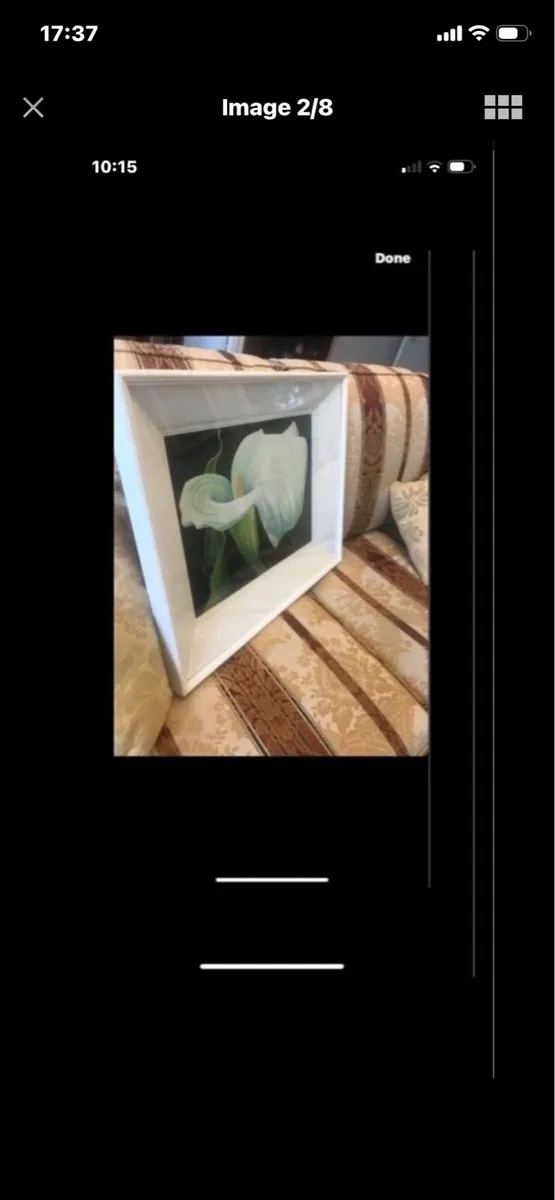 Arum Lily - Original Nicola Lynch Morrin Painting - Image 2