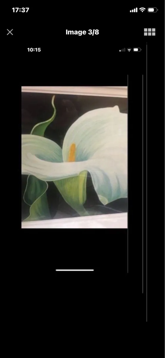 Arum Lily - Original Nicola Lynch Morrin Painting - Image 3