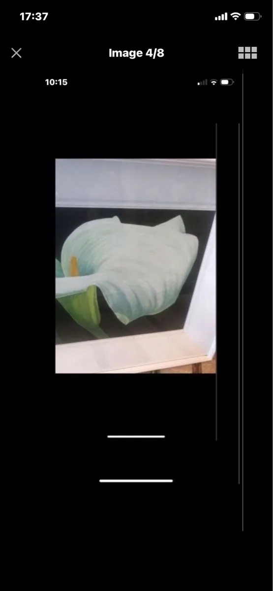 Arum Lily - Original Nicola Lynch Morrin Painting - Image 4