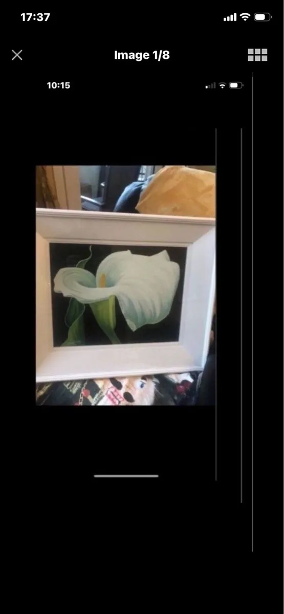 Arum Lily - Original Nicola Lynch Morrin Painting - Image 1