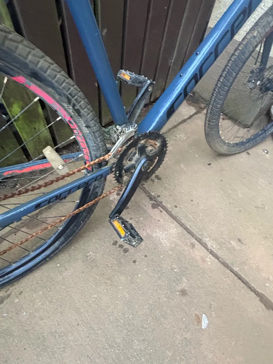 Mountain bike - Image 3