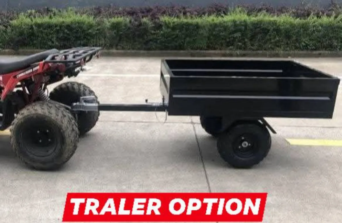 COMMANDER 200 Quad Work/Play/ Delivery/Easypay - Image 4