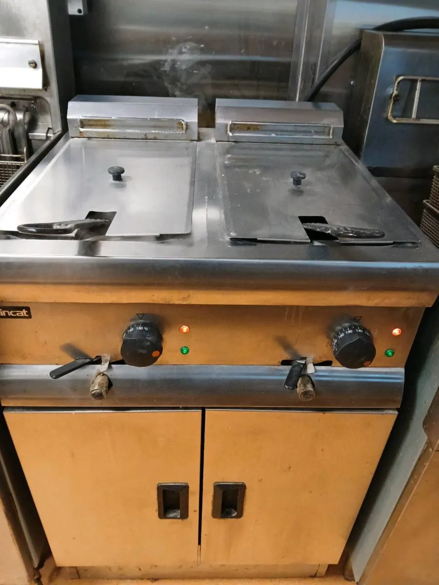 Lincat double electric fryer