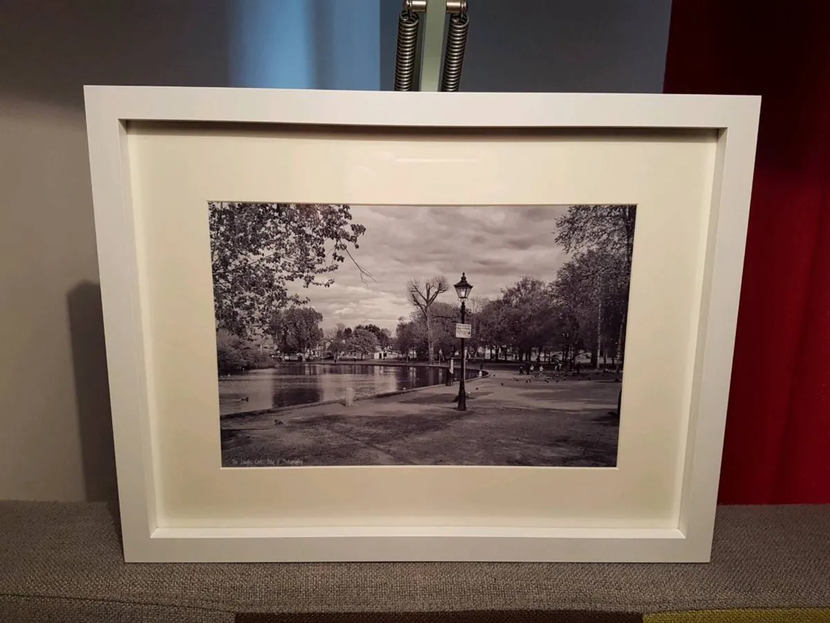 The Lough, Cork - Image 1