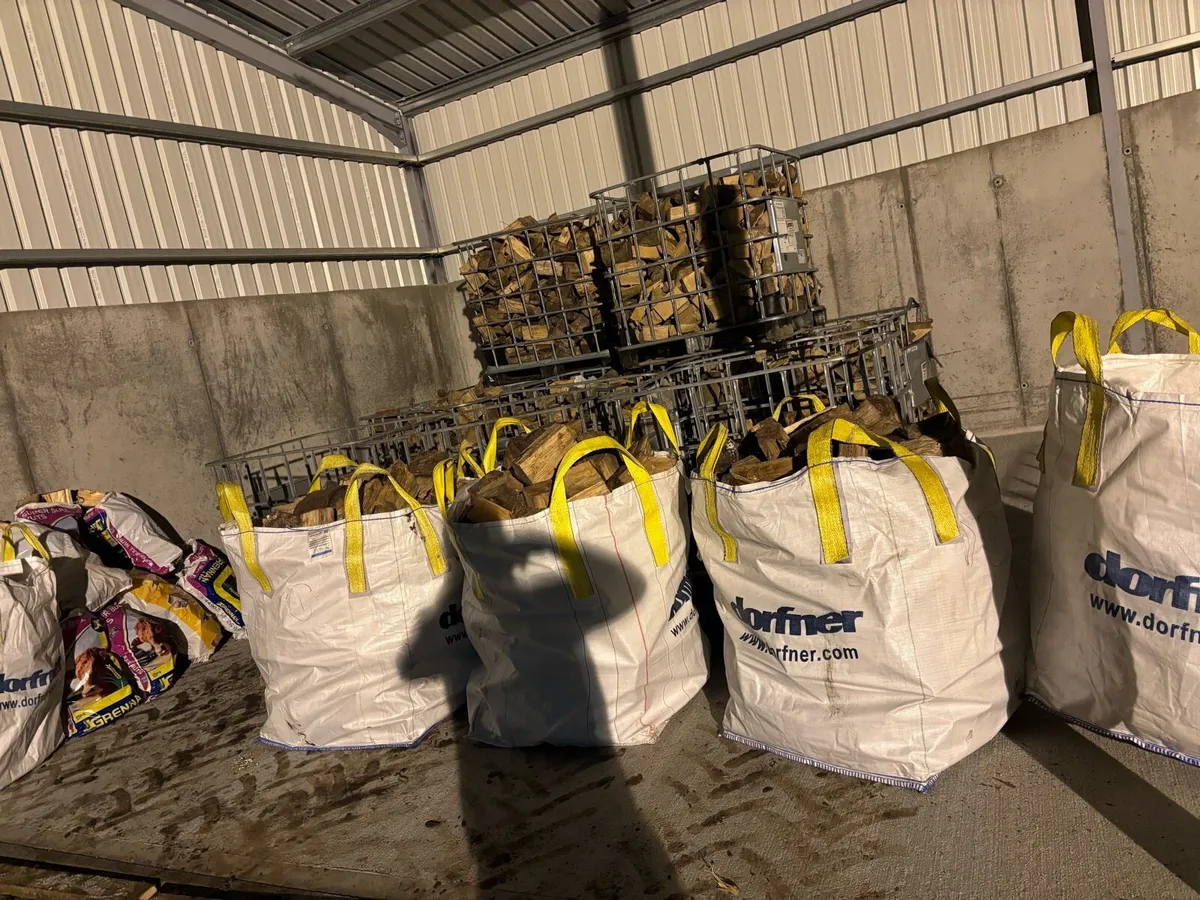 Top quality seasoned wood - Image 3