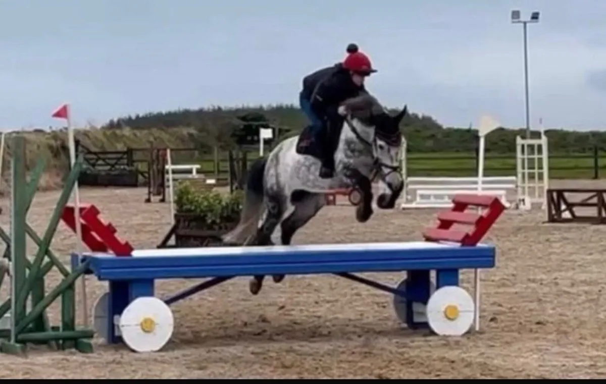 Cavan Sales Lot 29 Thursday 26th February - Image 1