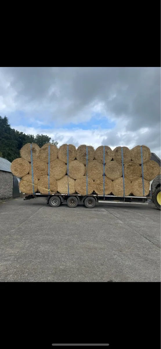 Barley Straw 4x4 - Image 1