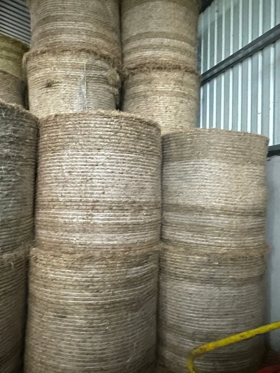 Barley Straw 4x4 - Image 2