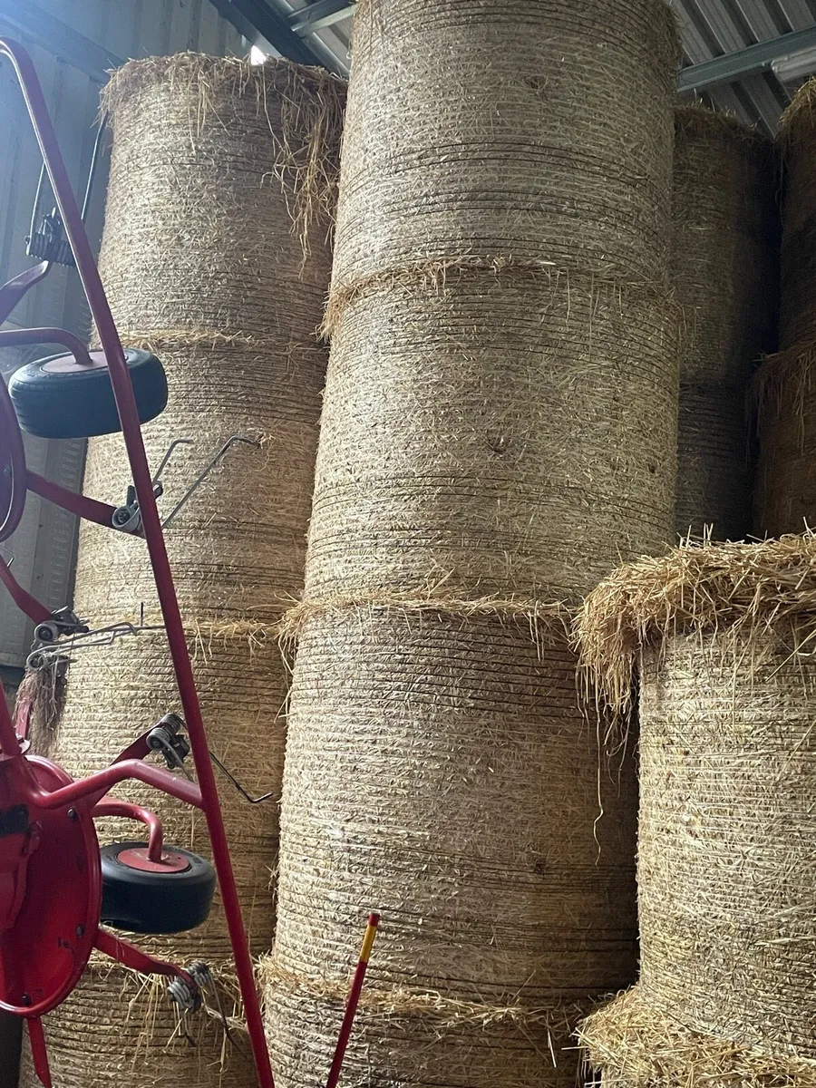 Barley Straw 4x4 - Image 3