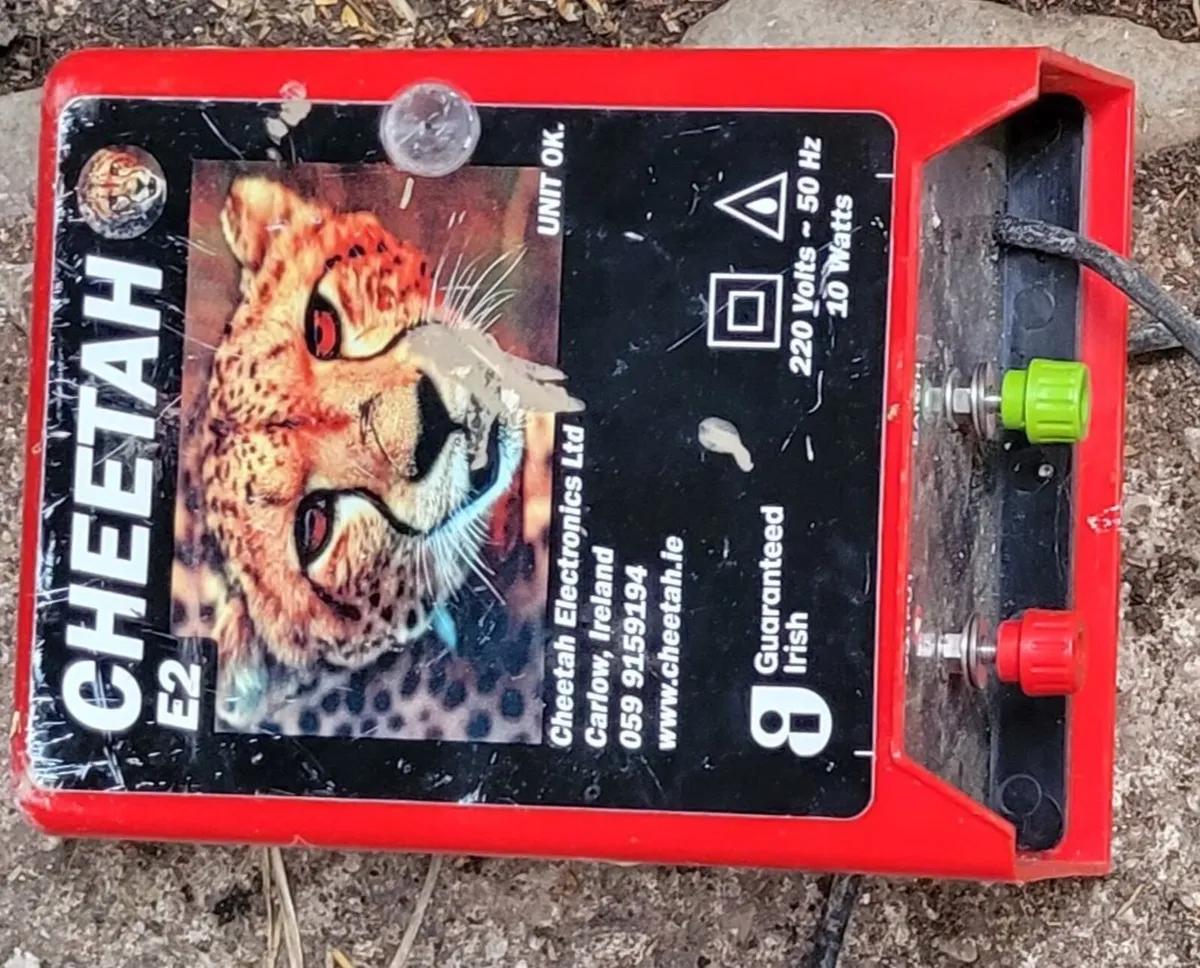 Mains electric fencer