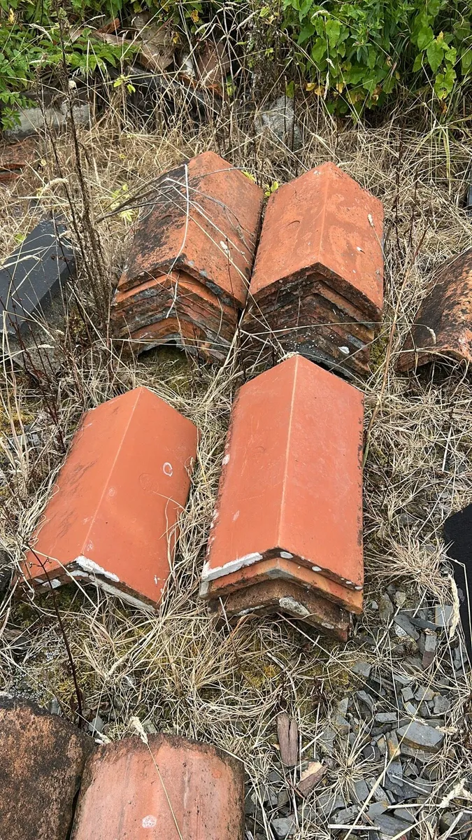 Roof ridges - Image 4