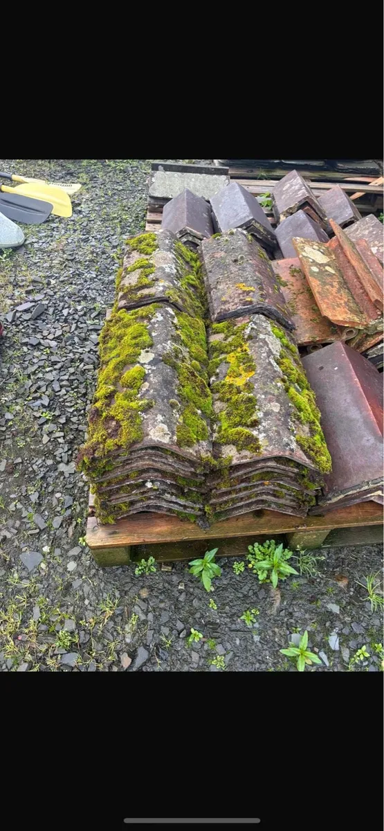 Roof ridges - Image 2