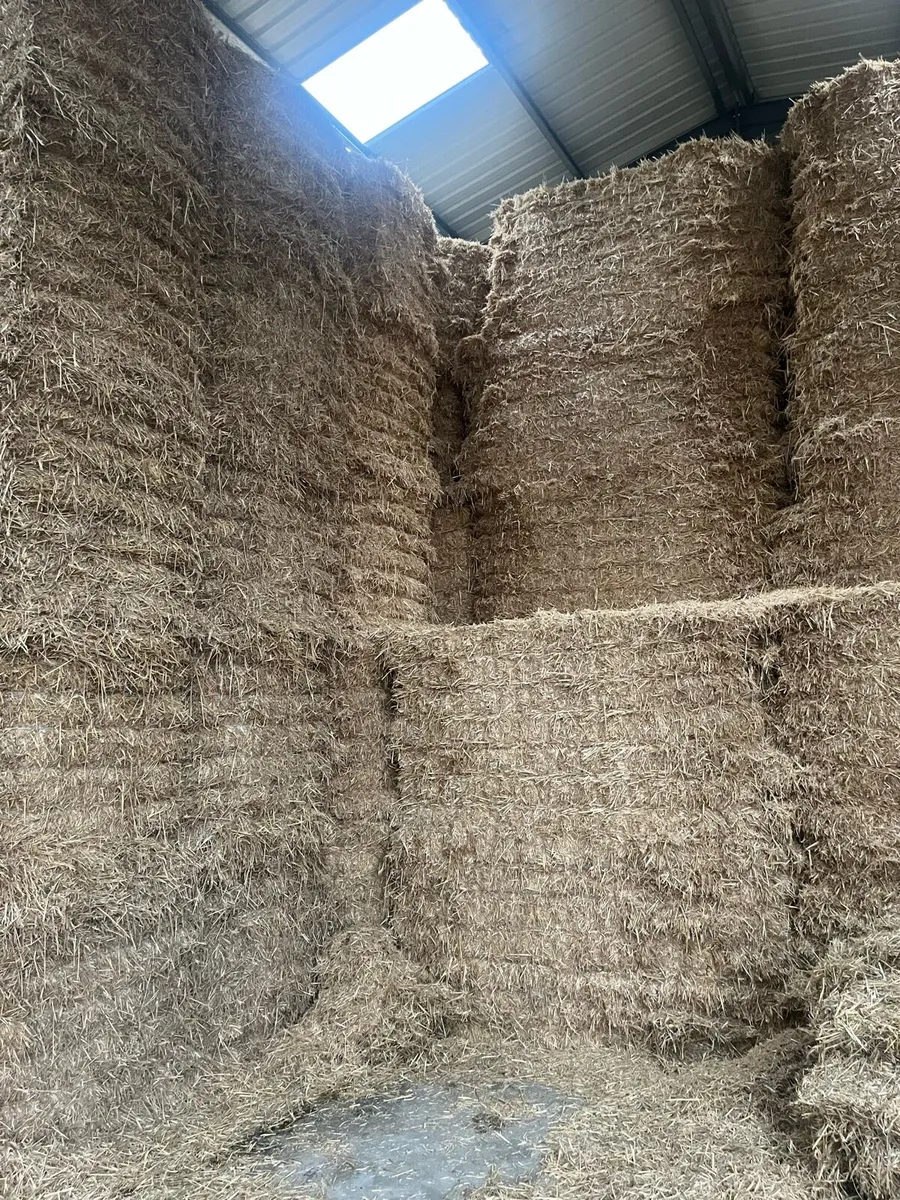 Fine pre chopped barley straw - Image 1