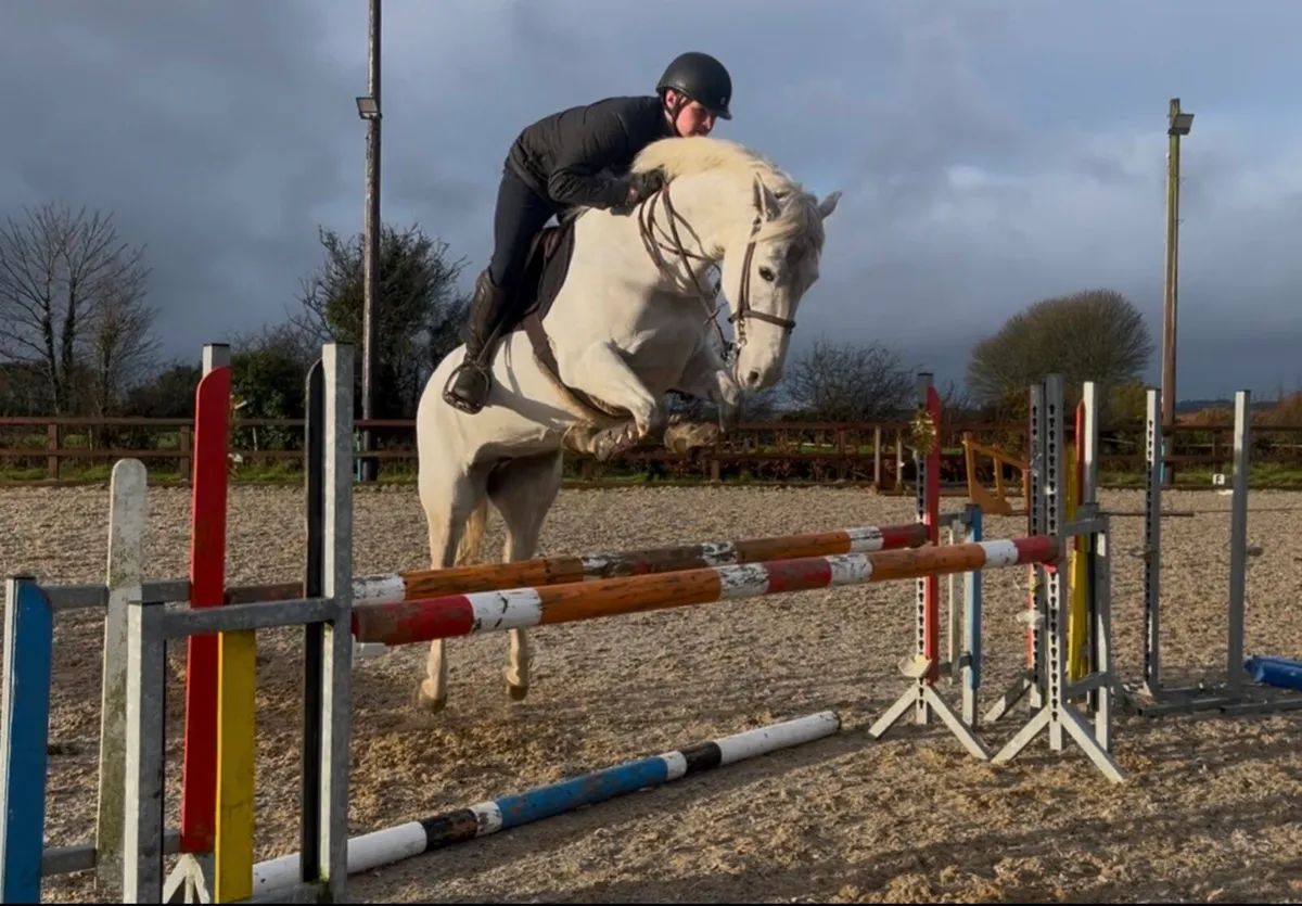 14:2 jumping pony - Image 1