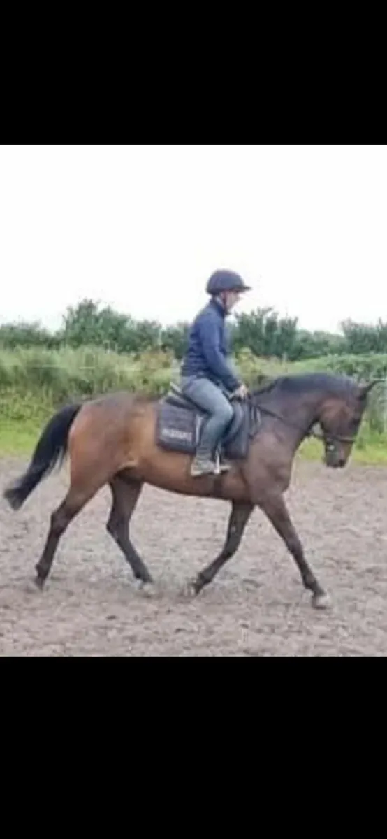 Riding horses - Image 2