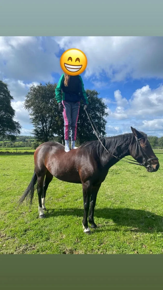 Riding horses - Image 4