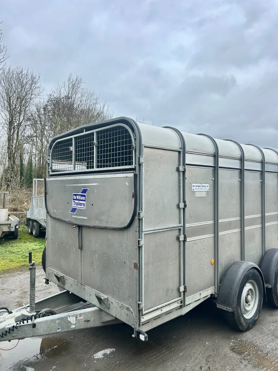 2021 Ifor Williams 12x6 TA510 Livestock Trailer - Image 4