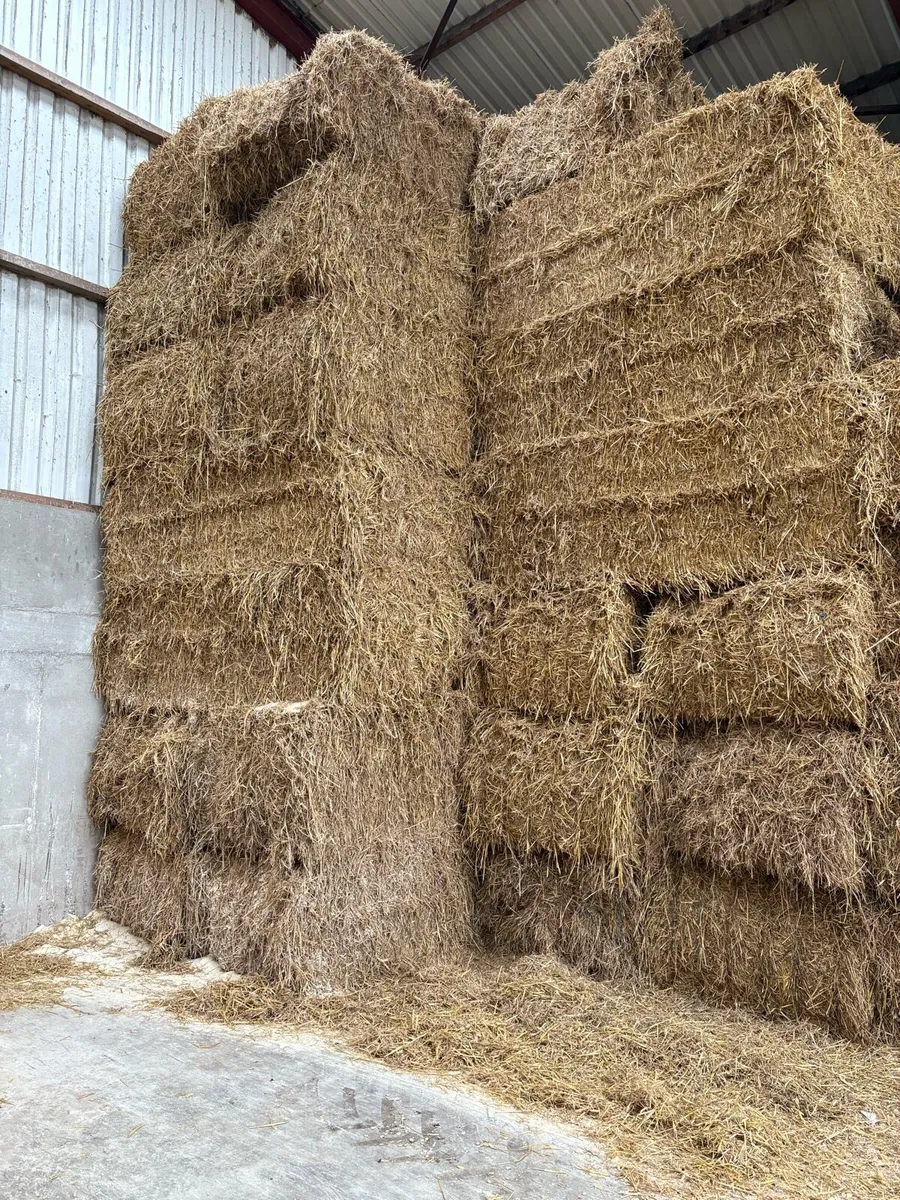 Wheat straw 8x4x3