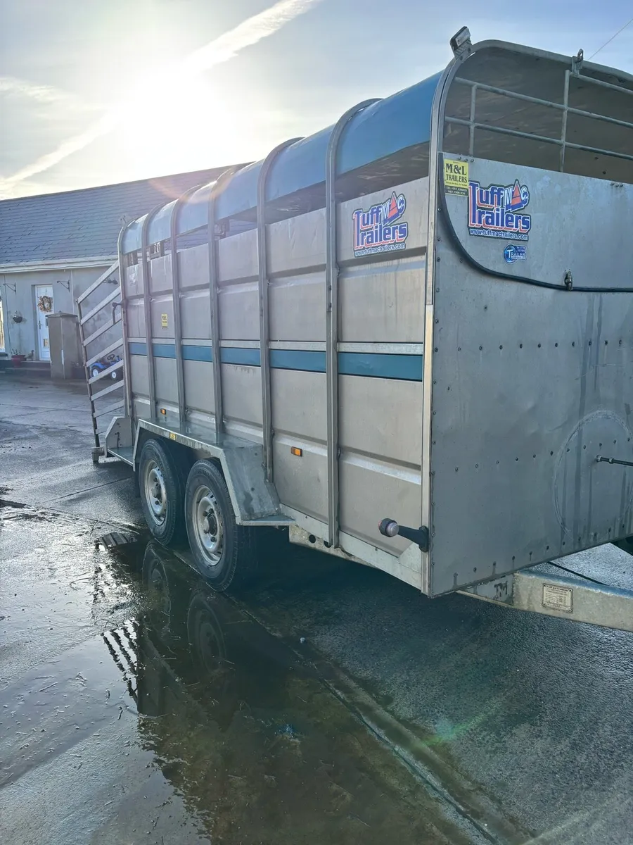 Cattle Trailer - Image 4