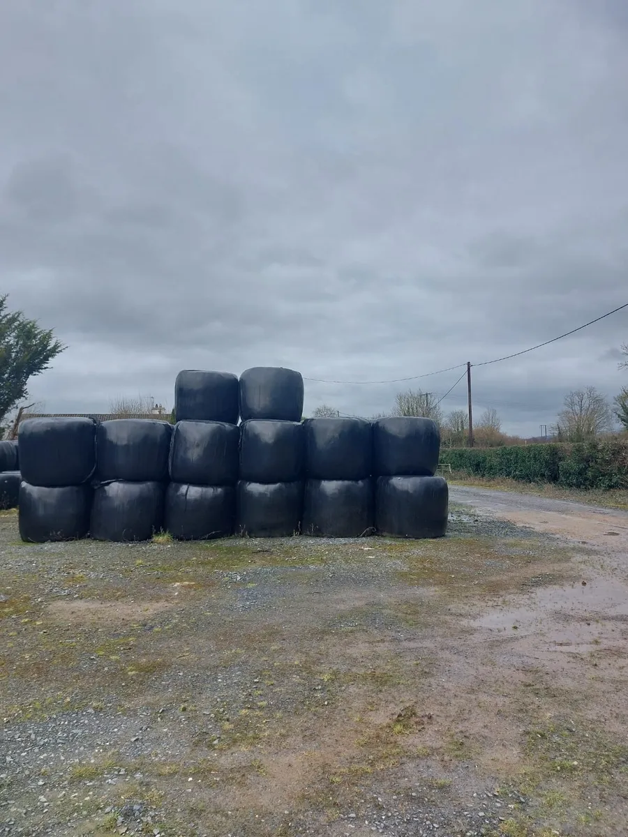 Bales of silage - Image 3