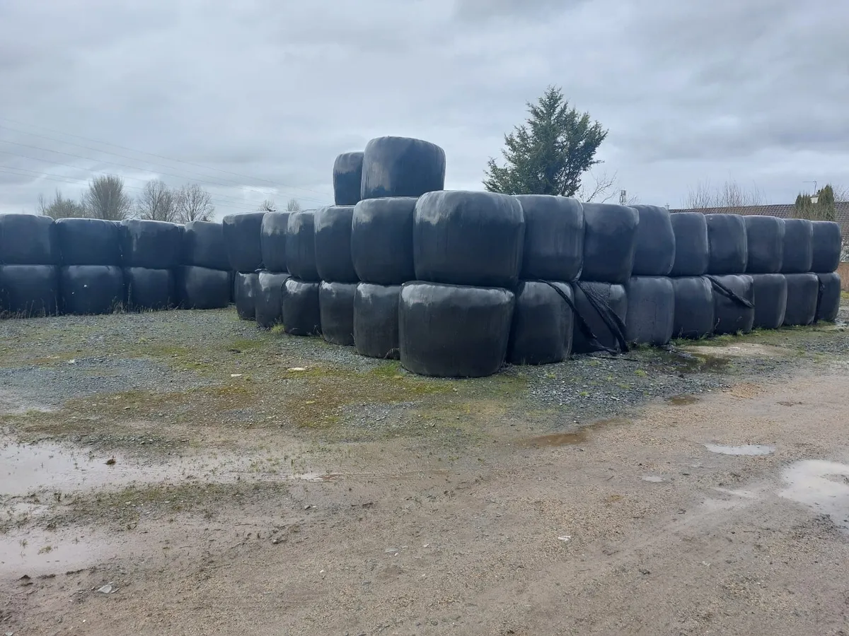 Bales of silage - Image 1