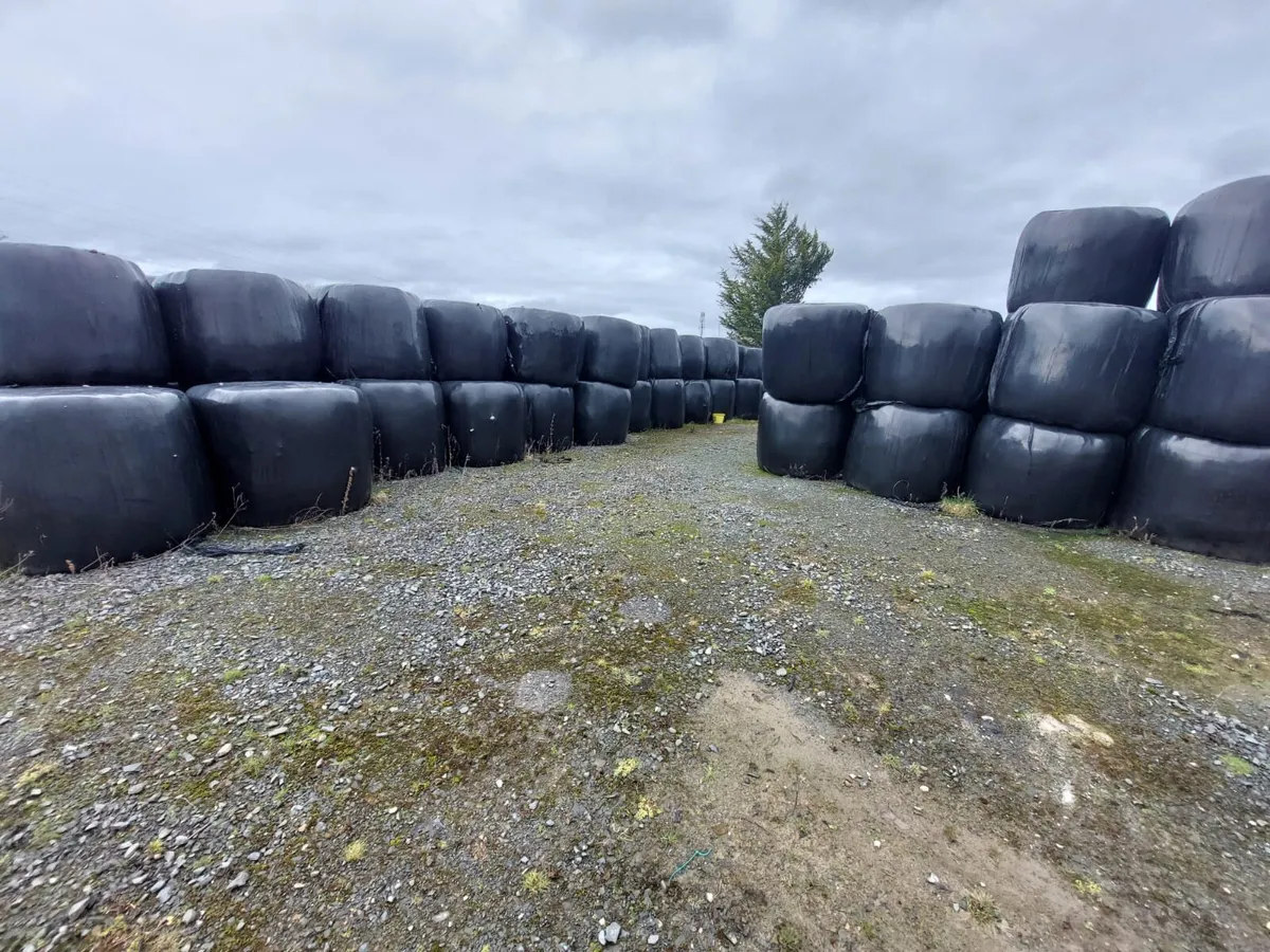 Bales of silage - Image 2