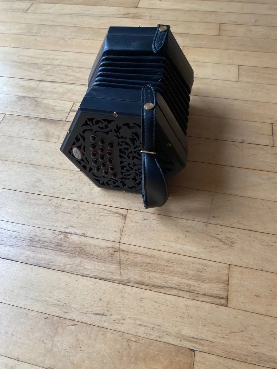 Concertina - Image 2