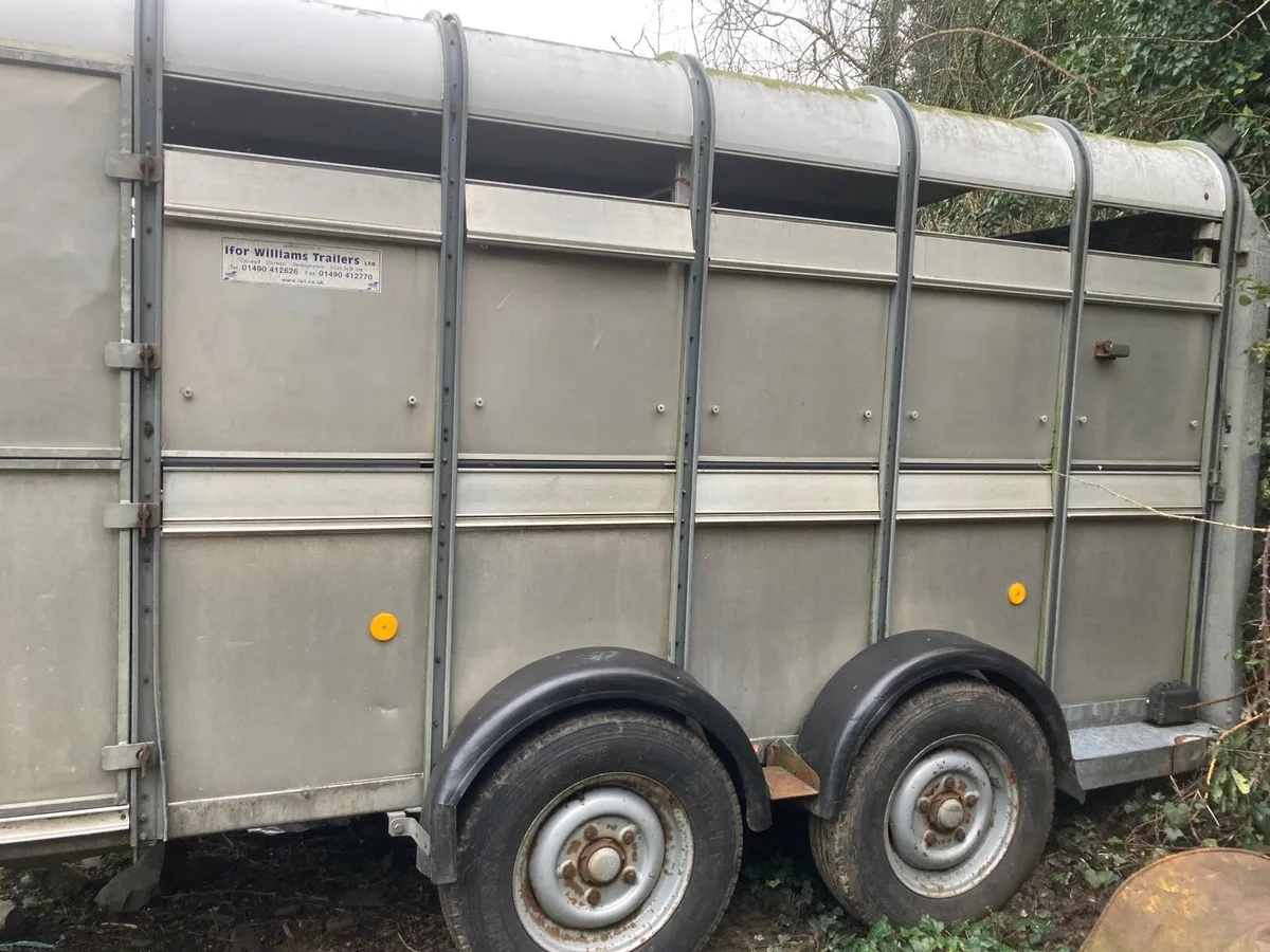 Ifor Williams cattle  trailer - Image 1