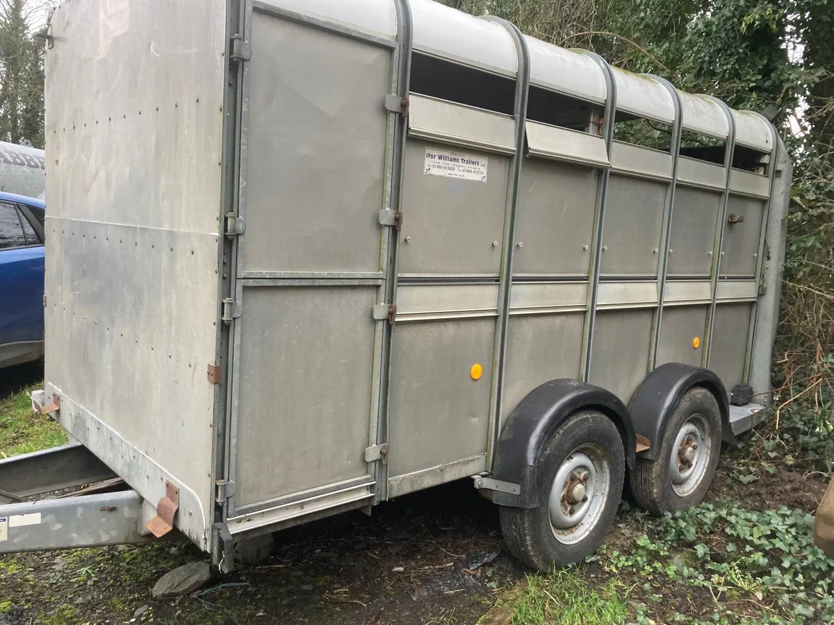 Ifor Williams cattle  trailer - Image 2