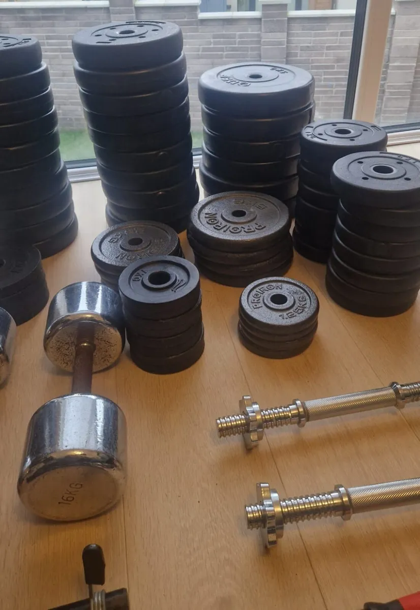 Home Gym Clear-Out (Dublin) – Rack + 147kg Plates - Image 4