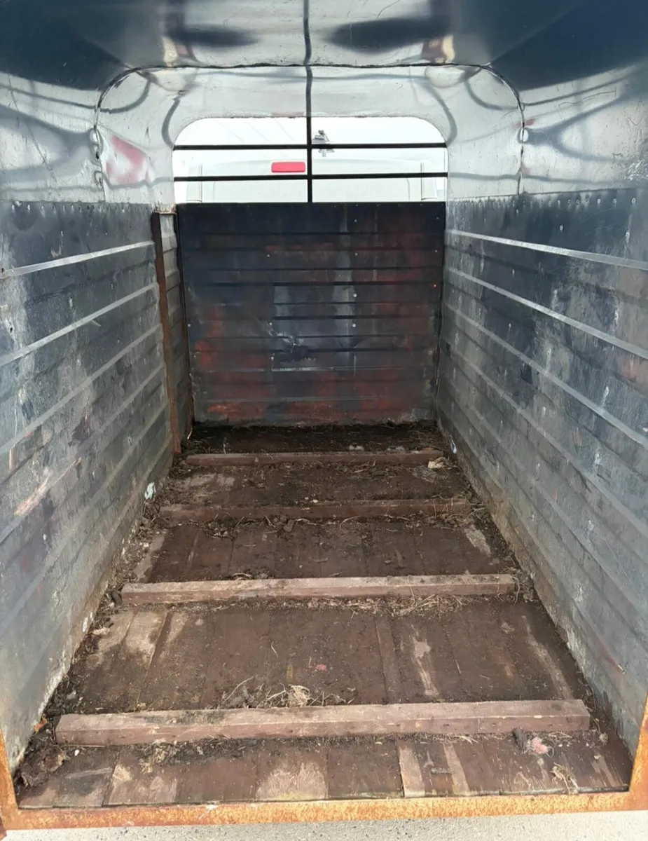 8by4f5 cattle trailer for sale - Image 4