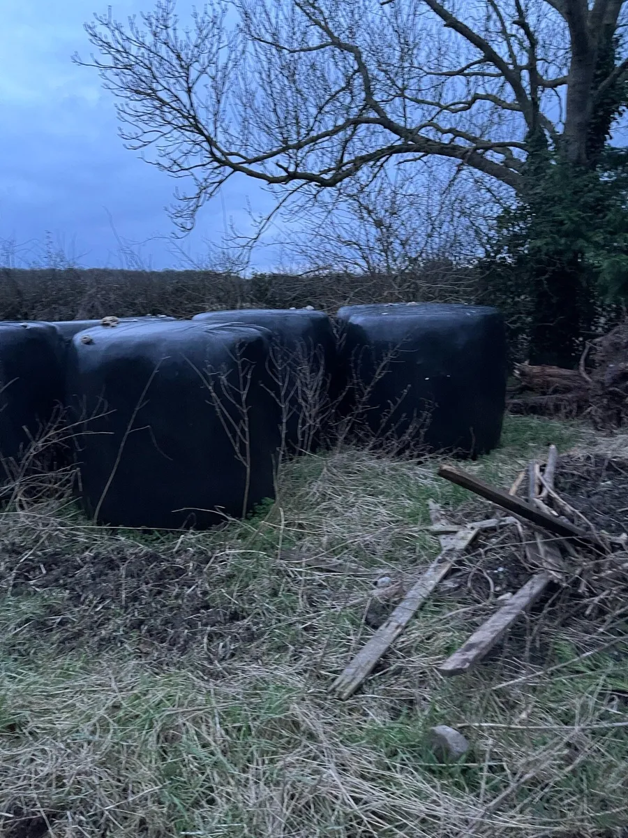 Bales or silage €30 open to offers - Image 1