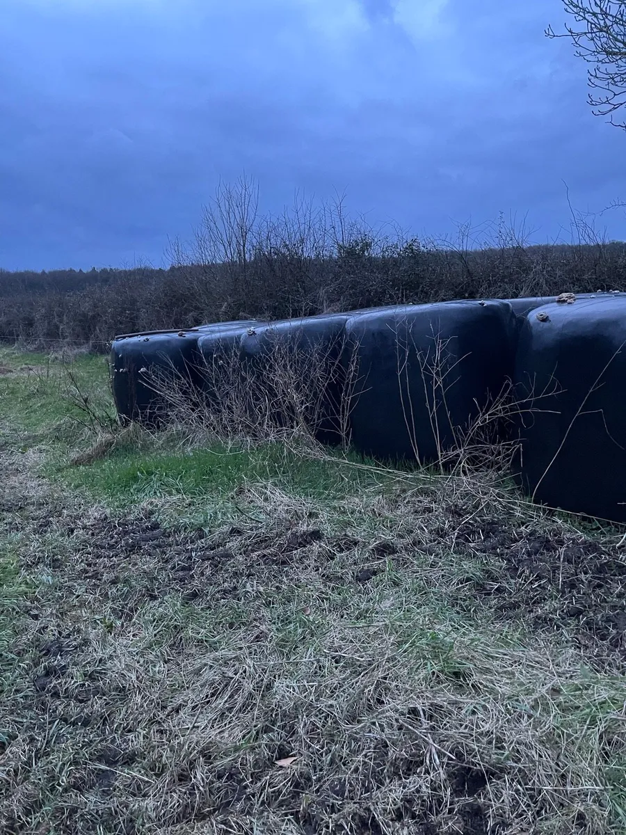 Bales or silage €30 open to offers - Image 2