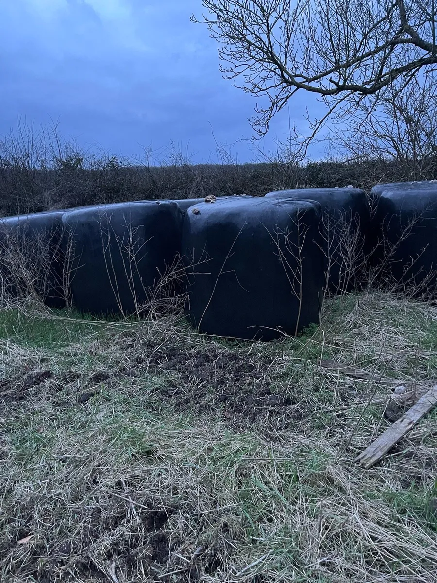 Bales or silage €30 open to offers - Image 3