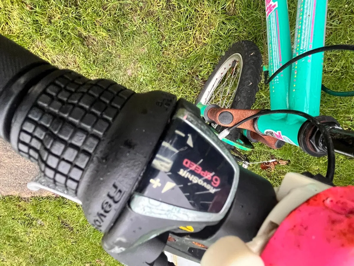 Girls bicycle - Image 2