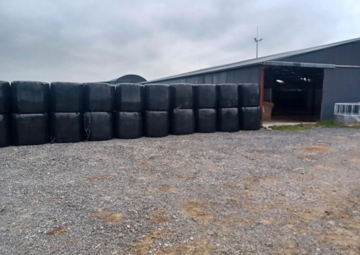 Quality dry silage - Image 1