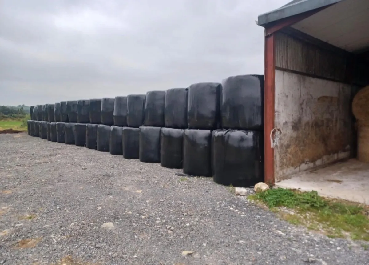 Quality dry silage - Image 2