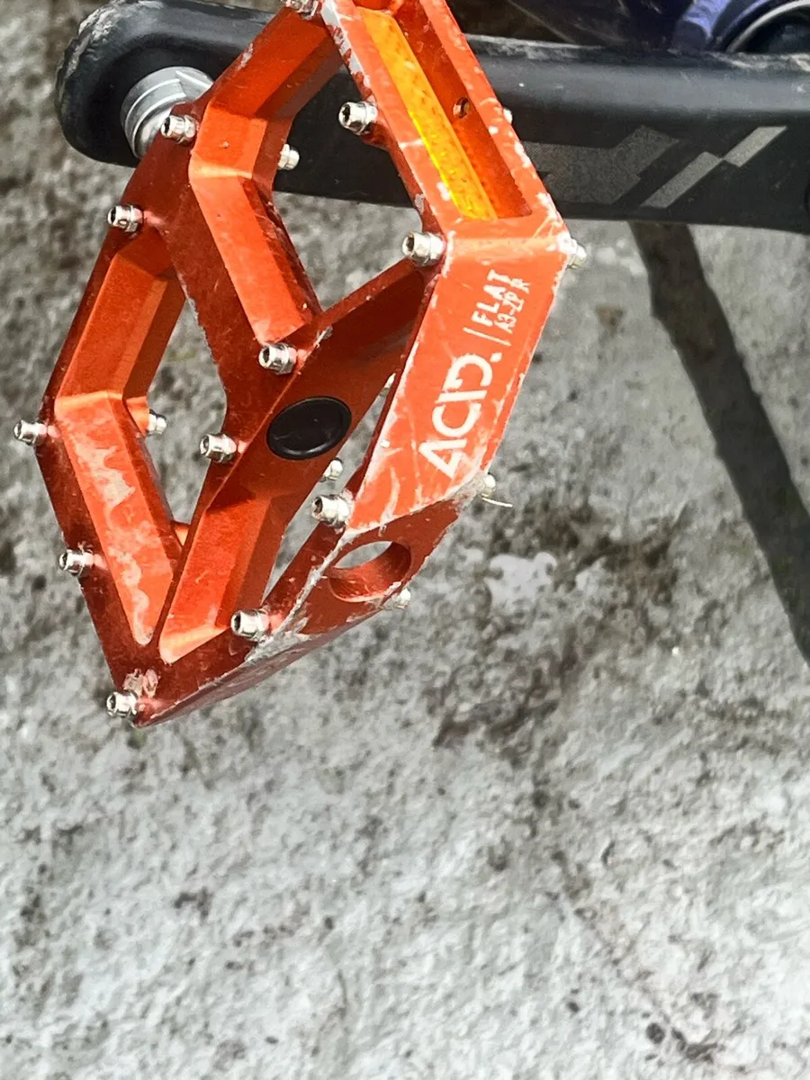 Orbea bike - Image 2