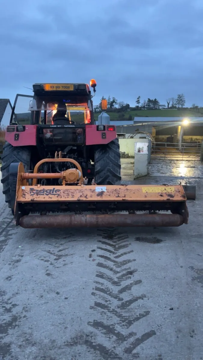 Teagle mulcher - Image 4