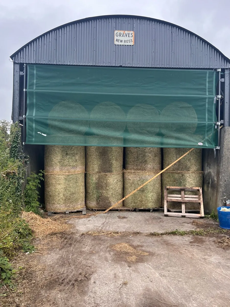 Hay for Sale - Image 3